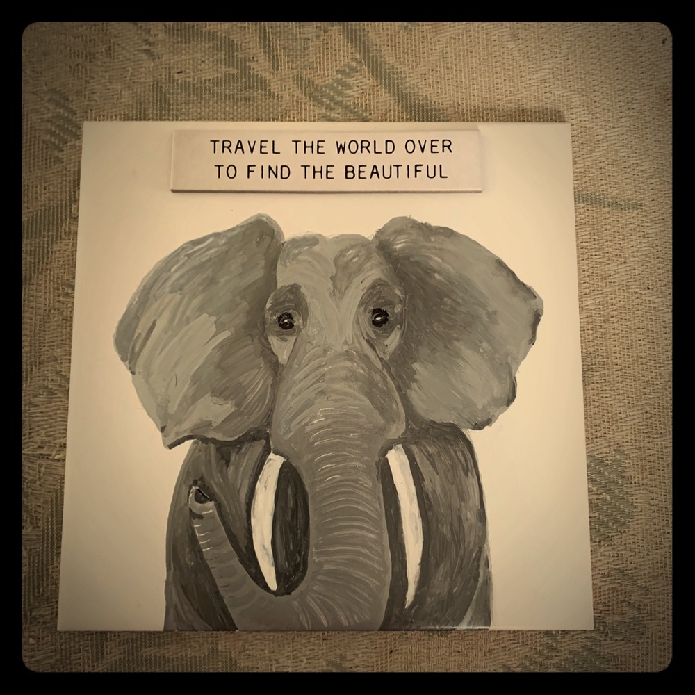 Hand drawn Elephant